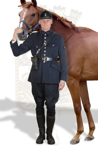 Gardien de la Paix